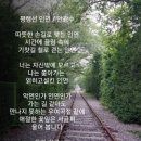 평행선 Daum카페