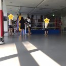 Mr.킥복싱 이미지