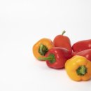 유래메디칼 이미지