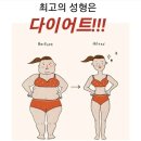 아띠핏 이미지