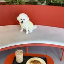 154기 2중대 1소대 43번 허종범 후보생 이미지