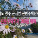 엘리트뉴부동산공인중개사사무소 이미지