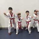 경희대 에이스태권도 이미지