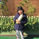 에코새싹유치원 이미지