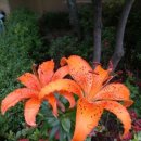 솔빛학교 이미지