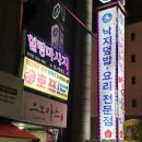 함평해보뻘낙지 이미지