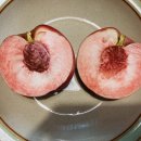 성거농업협동조합하나로마트 이미지