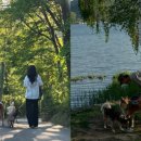 이기우 카카오 검색결과