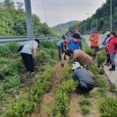 호계면주민센터 이미지