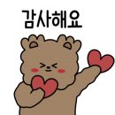 더네일순수 이미지
