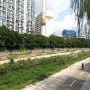 동구견인차량보관소 이미지