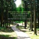절물자연휴양림 이미지
