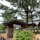 산죽칼국수 이미지