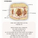 (주)투게임 | [택배][브릭베이글,BrickBagel] 샌드베이글계의 시조새_Vol.1_에이블리팝업, 택배후기