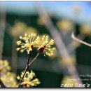 진동초등학교 이미지