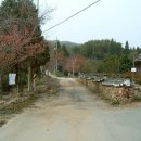 순천 나무숲 이미지