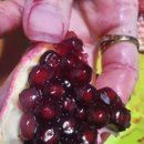 한구농장 이미지