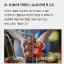 옵티컬 안테나 | 중소기업 스마트 TV 삼탠바이미 와이드 무빙뷰 43인치 사용후기