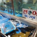 초지호 이미지