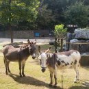 동키황토방 이미지