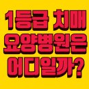 베스트요양병원 | 🏥 1등급 치매요양병원은 어디일까? 실거주자 후기 + 비용 완전 정리