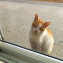 홍천로_5 이미지