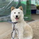 양산농장 이미지