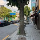 CU 장위퍼스트하이점 | [임장기] 장위 푸르지오 마크원 (장위 10구역) 청약 국평 17억대