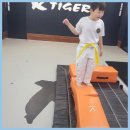 KTIGERS 동탄역관 태권도장 이미지