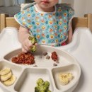 (주)대한유량 | [육아] 10개월 | 후기이유식 #2 (자기주도와 유아식, 그 중간 어디쯤)