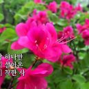 남자는 말합니다 - 장민호 이미지