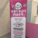 짱블리 짱금이 이미지