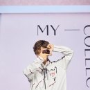 신스컬렉션