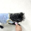 이매역3번출구 이미지