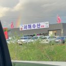 행운수산 | 인천 영종도 서해수산 본점에서 대하구이 왕새우구이 머리버터구이 해물라면 후기