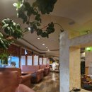 세모경양식 | 삼척 경양식 돈까스 맛집 레트로 감성 세모레스토랑