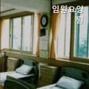 금천구 요양원 찾는다면 임원요양원 전문 인력의 섬세한 돌봄