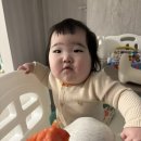 전복나라 | 우리나라 육아일기 - 이유식 세 끼, 전복 이유식