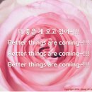 ★열정로즈의 정규강의 27기 2주차 셀프후기★설 이후 줄잇는 &#39;벚꽃 분양&#39; ^^