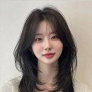 헤어커트 기본 이미지