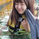 세랑 이미지