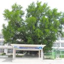 경북항공고등학교 이미지