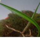 酒 사발 이미지