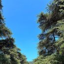 이중인 묘 | 중국 난징 남경 여행 / 셋째날 중산릉&amp;오동대로 방문후기 - 셔틀버스 예약방법 운영시간 입장료