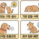 가야종합동물병원 이미지