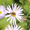 노고단-3 이미지