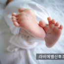 라비에벨 산후조리원 이미지