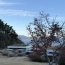 지평집 | [공지] 거제도 감성펜션 ‘지평집’ ㄹ방 후기