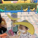과일사요야채사요 - 북구 효열로 221 | 과일사요야채사요