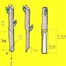 접목 기술 이미지